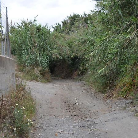 Casa Rural En Almayate Bajo Eksteriør billede